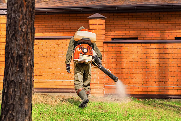 Trusted Bed Bug Control service in Swissvale, PA - Nex Pest Control